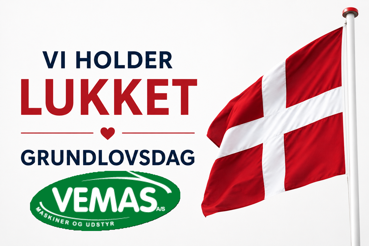 grundlovsdag